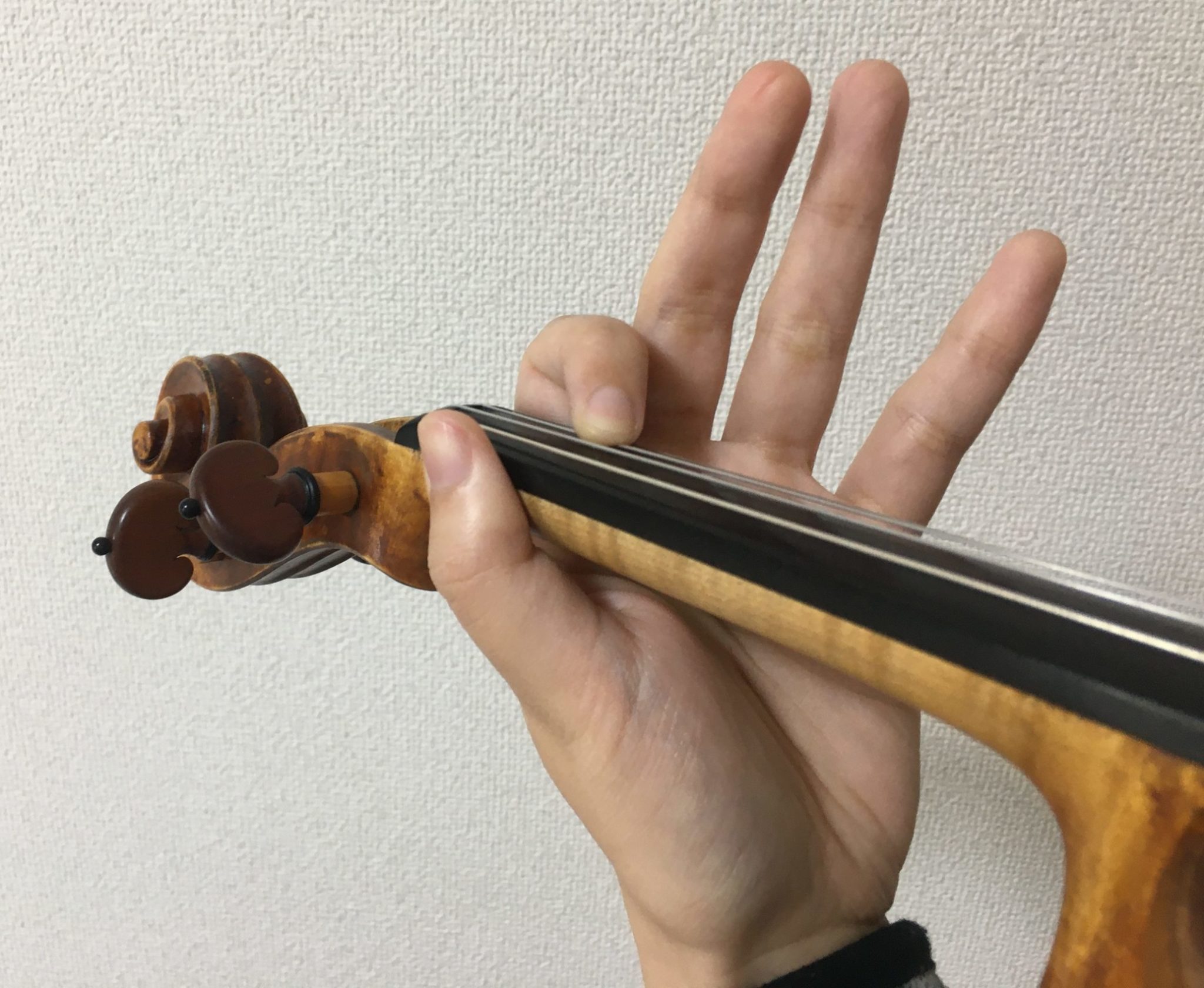 バイオリン 指 で 弾く