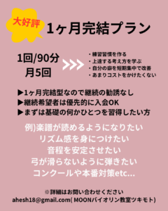 オンライン　バイオリン　レッスン